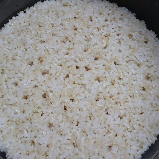 還元美食 (水素料理) 玄米ご飯